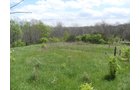 Property photo 2 - Land Auction - 113.11 Acres, Potential Building Site, Wildlife & Recreation, Development Potential
